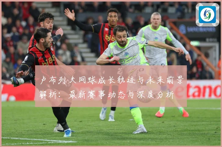 卢布列夫网球成长轨迹与未来前景解析：最新赛事动态与深度分析