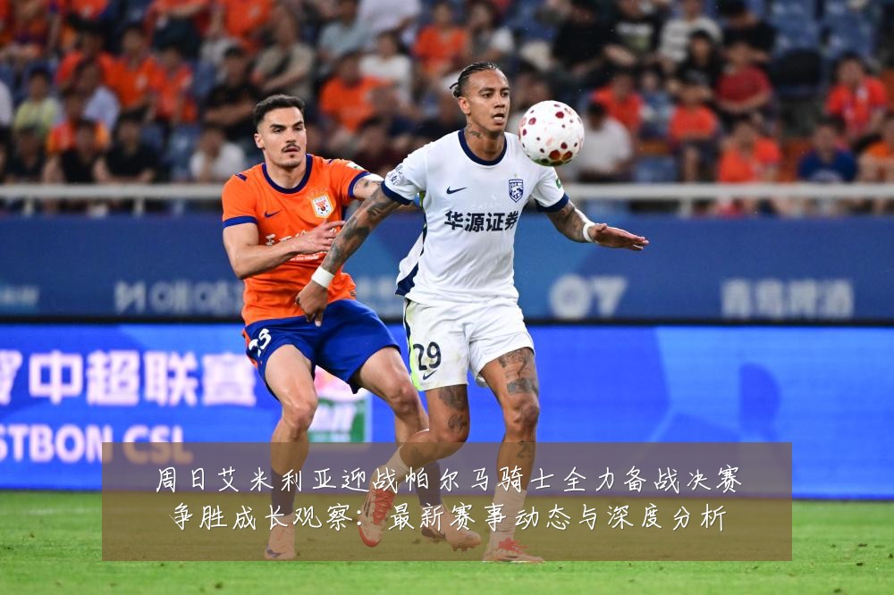 周日艾米利亚迎战帕尔马骑士全力备战决赛争胜成长观察：最新赛事动态与深度分析